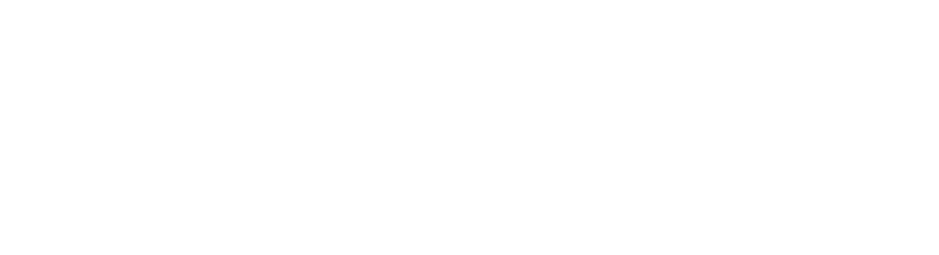 DevSeen Technologies logo